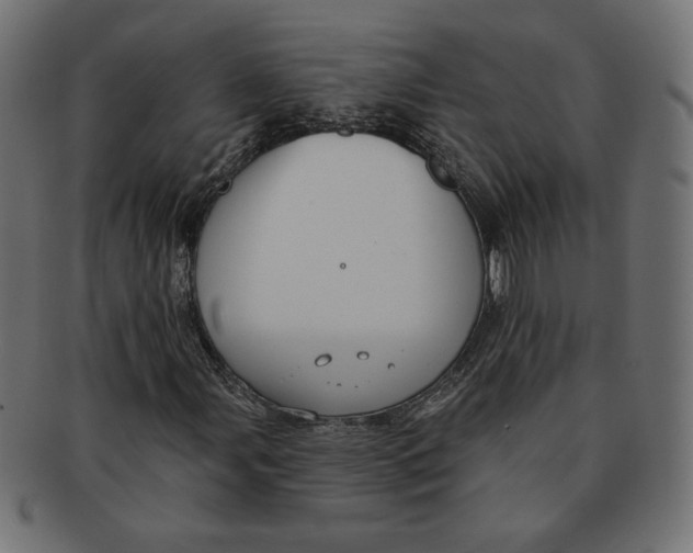 X0000091671107200709201214