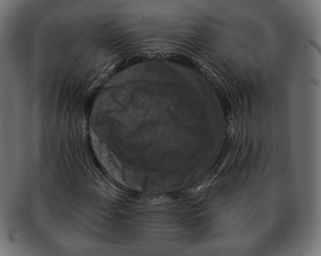 X0000091671108200709201214