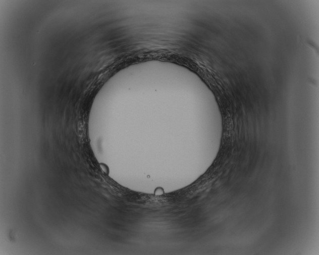 X0000091671109200709201214