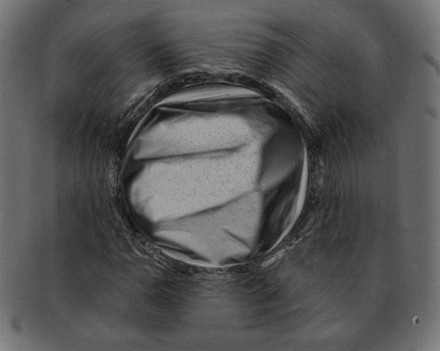 X0000091671110200709201214