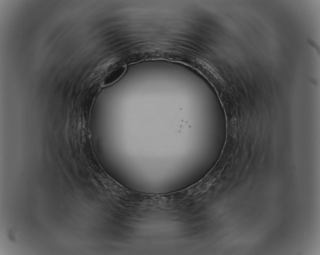 X0000091671111200709201214