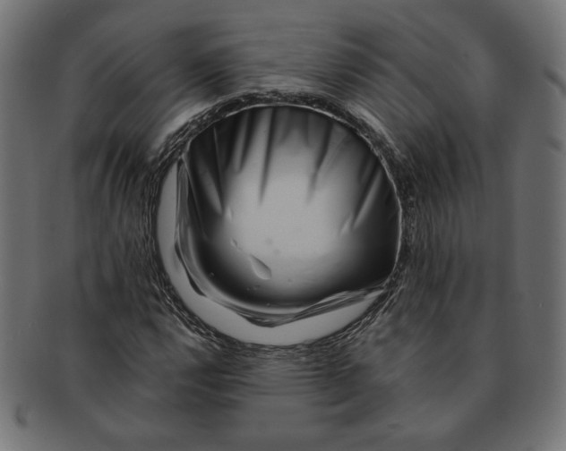 X0000091671112200709201214