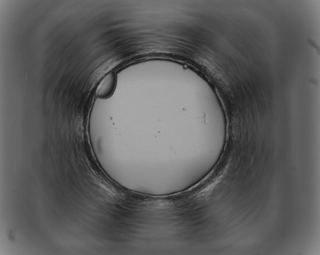 X0000091671113200709201214