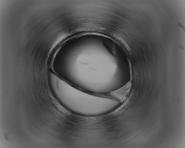 X0000091671114200709201214