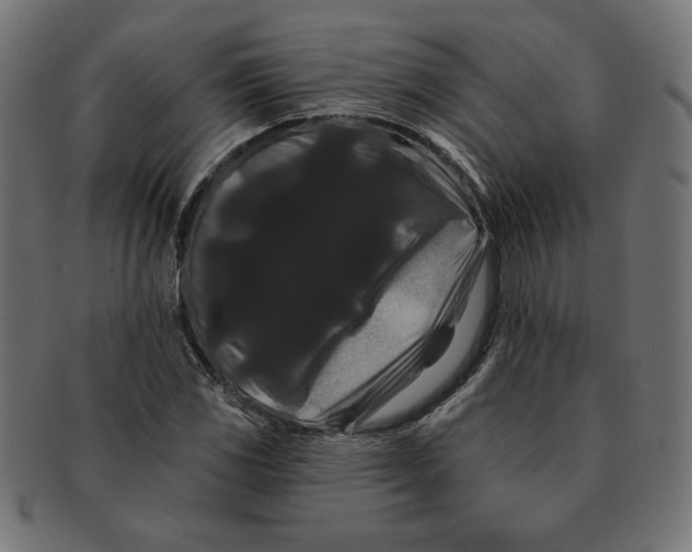 X0000091671117200709201214