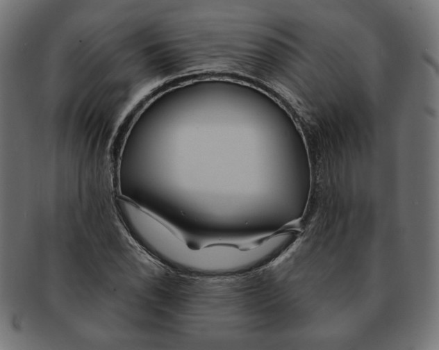 X0000091671118200709201214