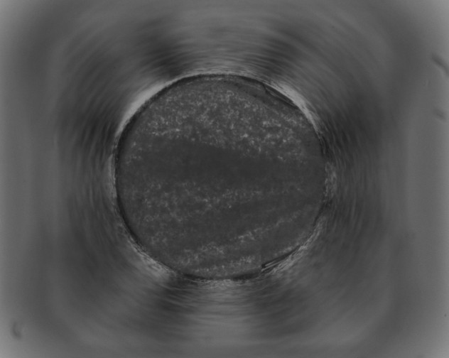 X0000091671120200709201214