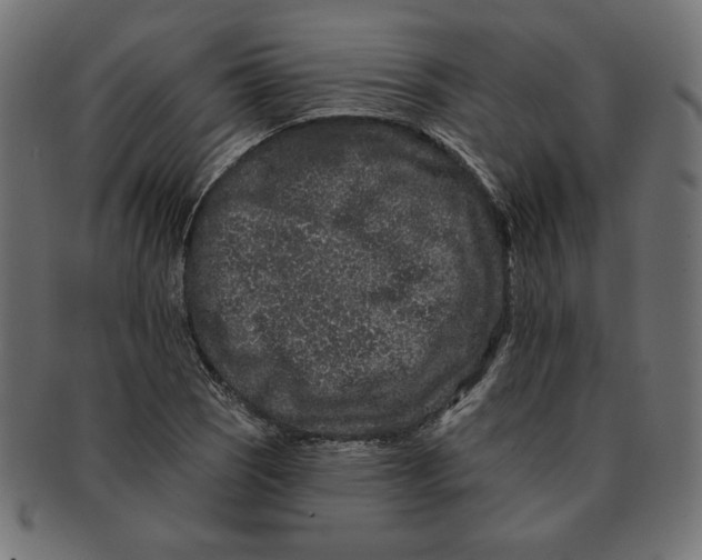 X0000091671121200709201214