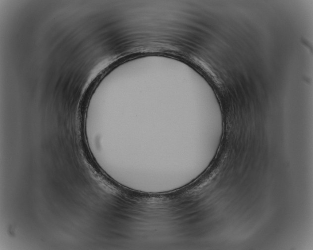 X0000091671122200709201214