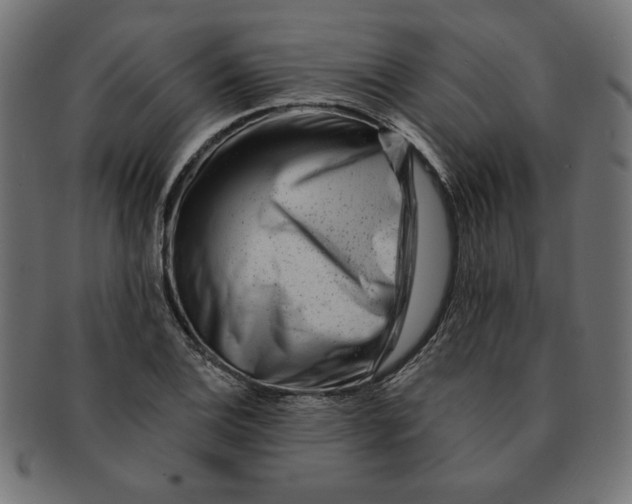 X0000091671124200709201214