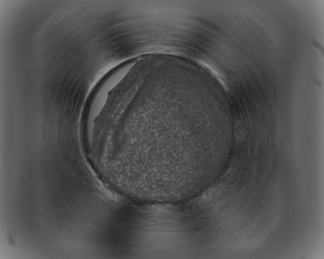 X0000091671125200709201214