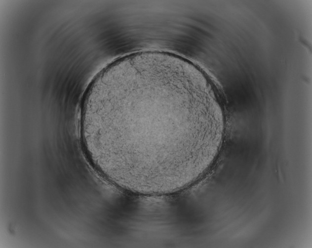 X0000091671126200709201214