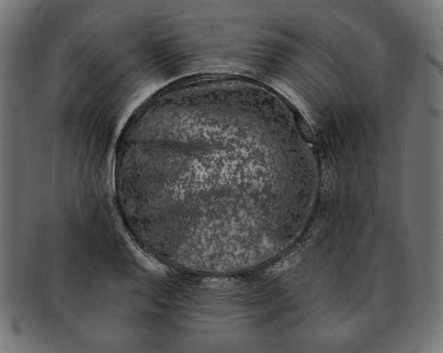 X0000091671128200709201214