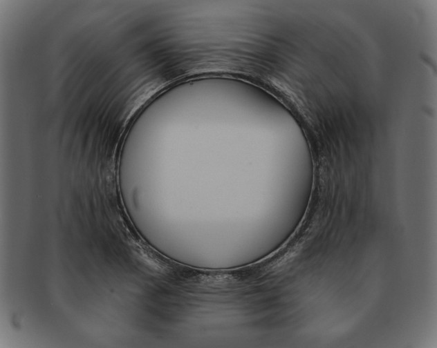 X0000091671129200709201214