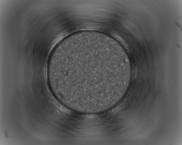 X0000091671130200709201214