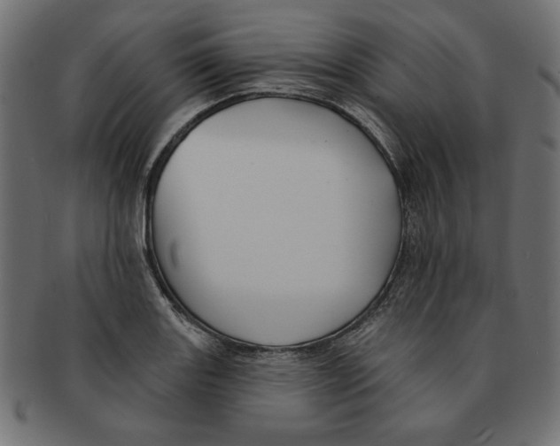 X0000091671131200709201214