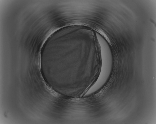 X0000091671132200709201214