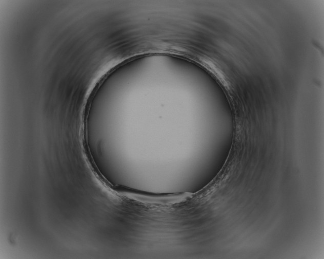 X0000091671136200709201214