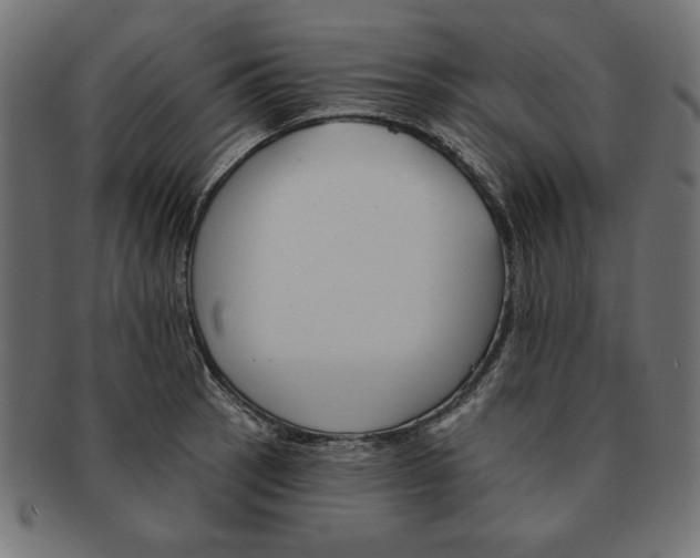 X0000091671137200709201214