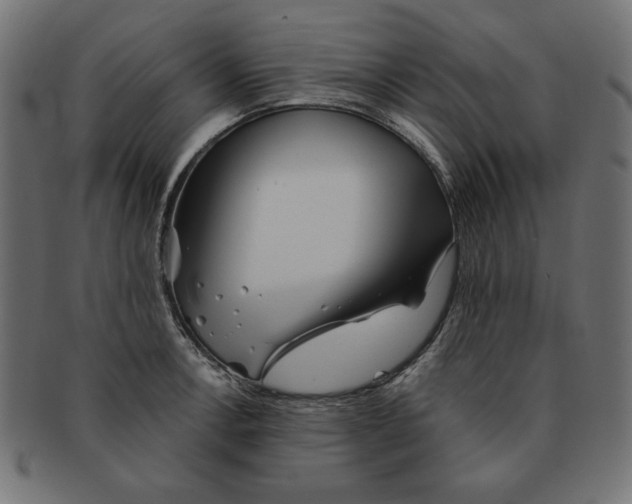 X0000091671138200709201214