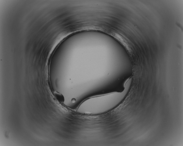 X0000091671140200709201214