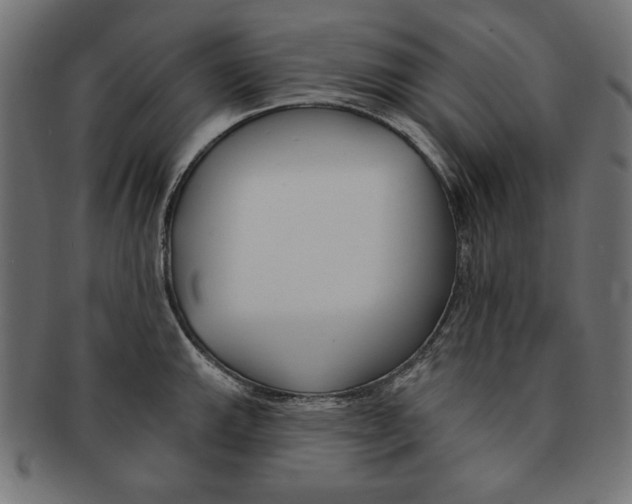 X0000091671143200709201214