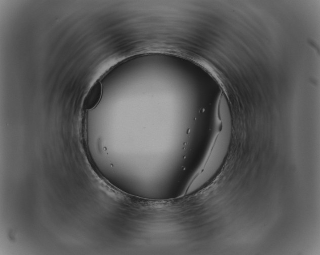 X0000091671147200709201214