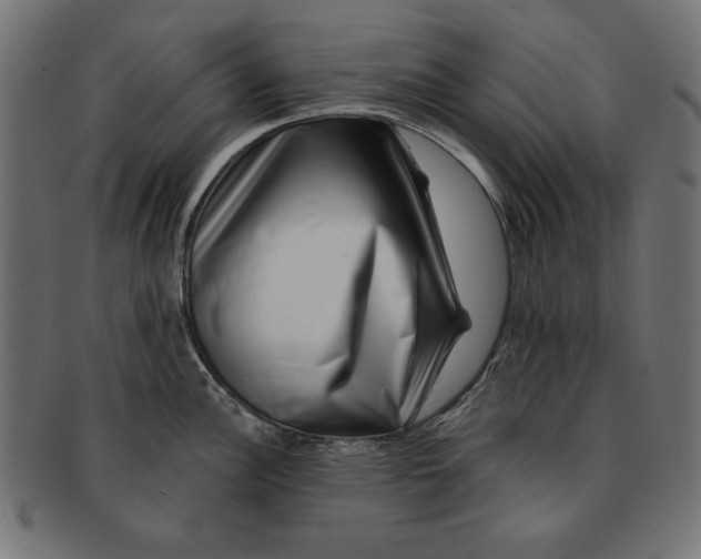 X0000091671148200709201214