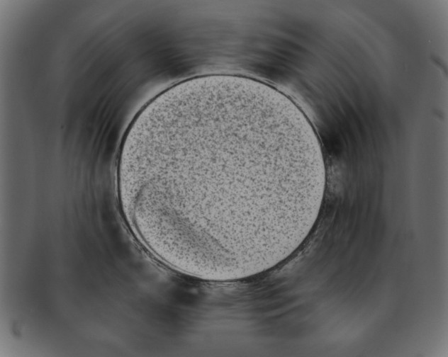 X0000091671150200709201214