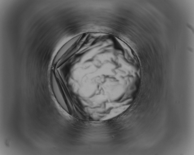 X0000091671152200709201214