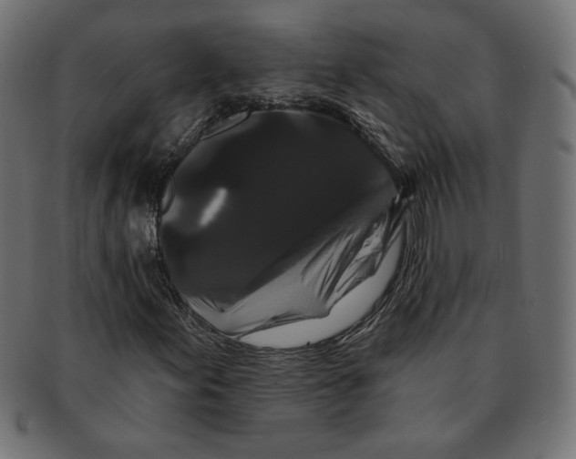 X0000091671155200709201214