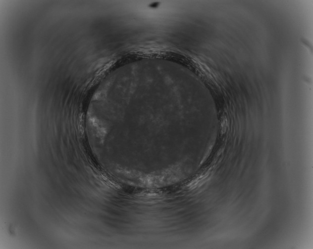 X0000091671156200709201214