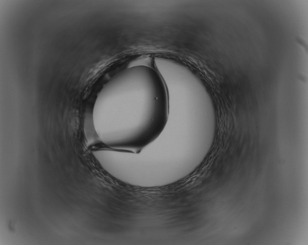 X0000091671157200709201214