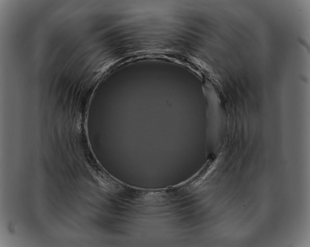 X0000091671161200709201213