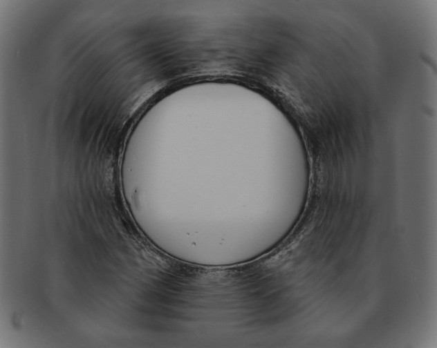 X0000091671162200709201213