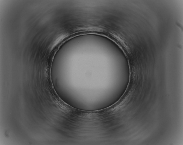 X0000091671163200709201213