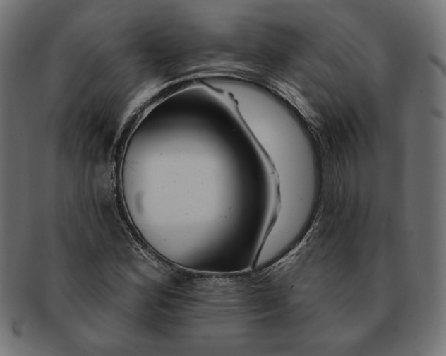 X0000091671164200709201213