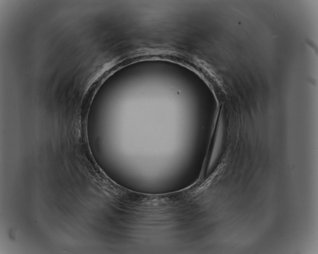 X0000091671165200709201213