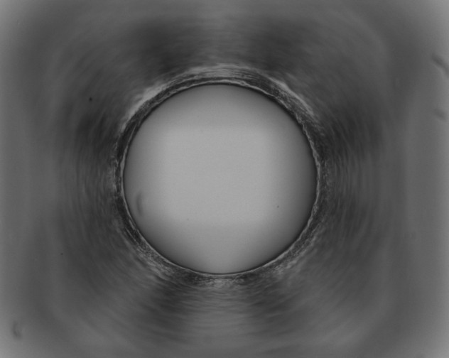 X0000091671166200709201213