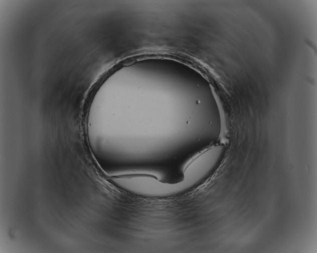 X0000091671168200709201213