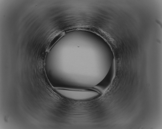 X0000091671169200709201213