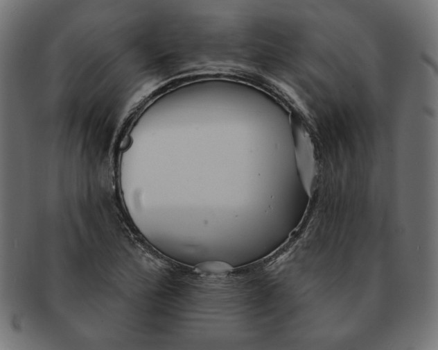 X0000091671172200709201213