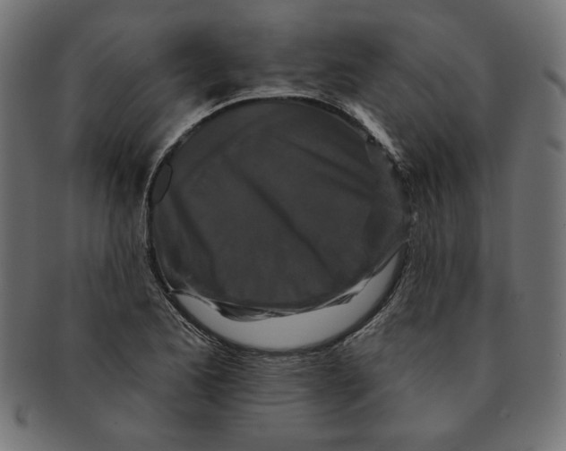 X0000091671173200709201213