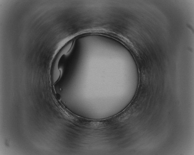 X0000091671176200709201213