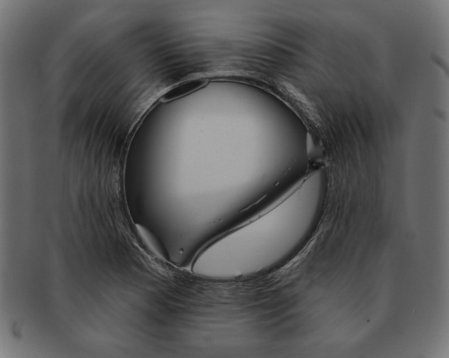 X0000091671177200709201213