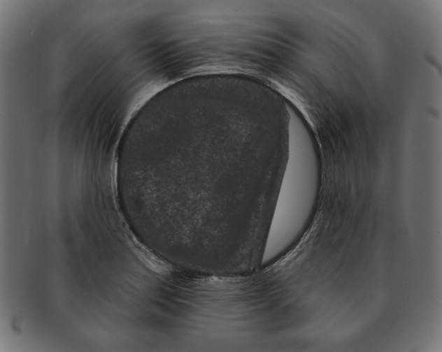 X0000091671179200709201213