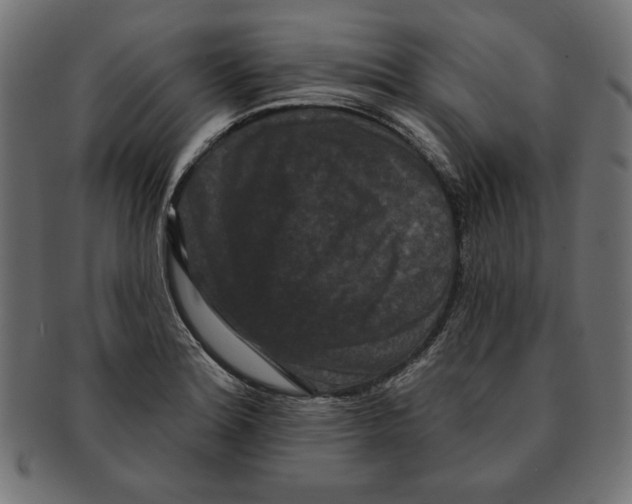 X0000091671180200709201213