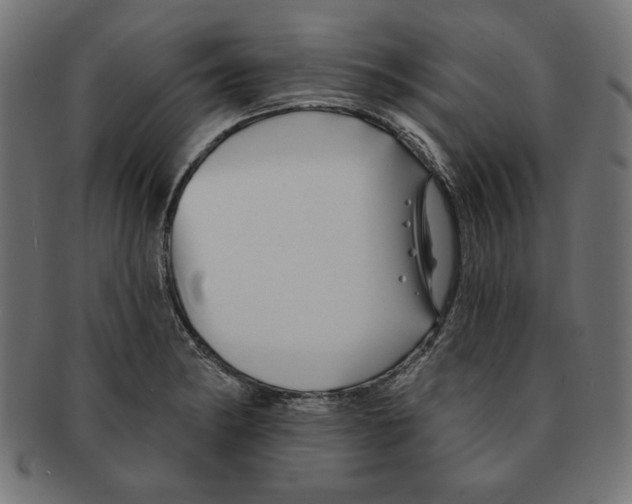 X0000091671182200709201213