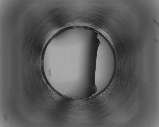 X0000091671183200709201213