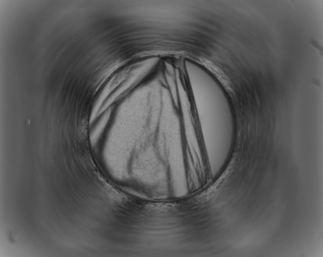 X0000091671185200709201213